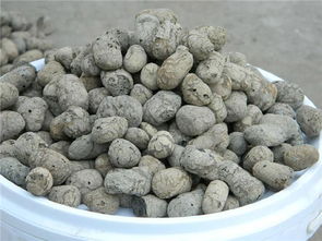 河南好的粘土陶粒回转窑厂家