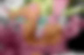 欧美亚洲国产bt